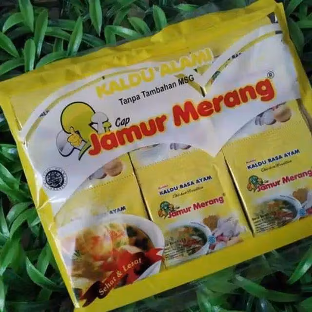 Kaldu alami ayam